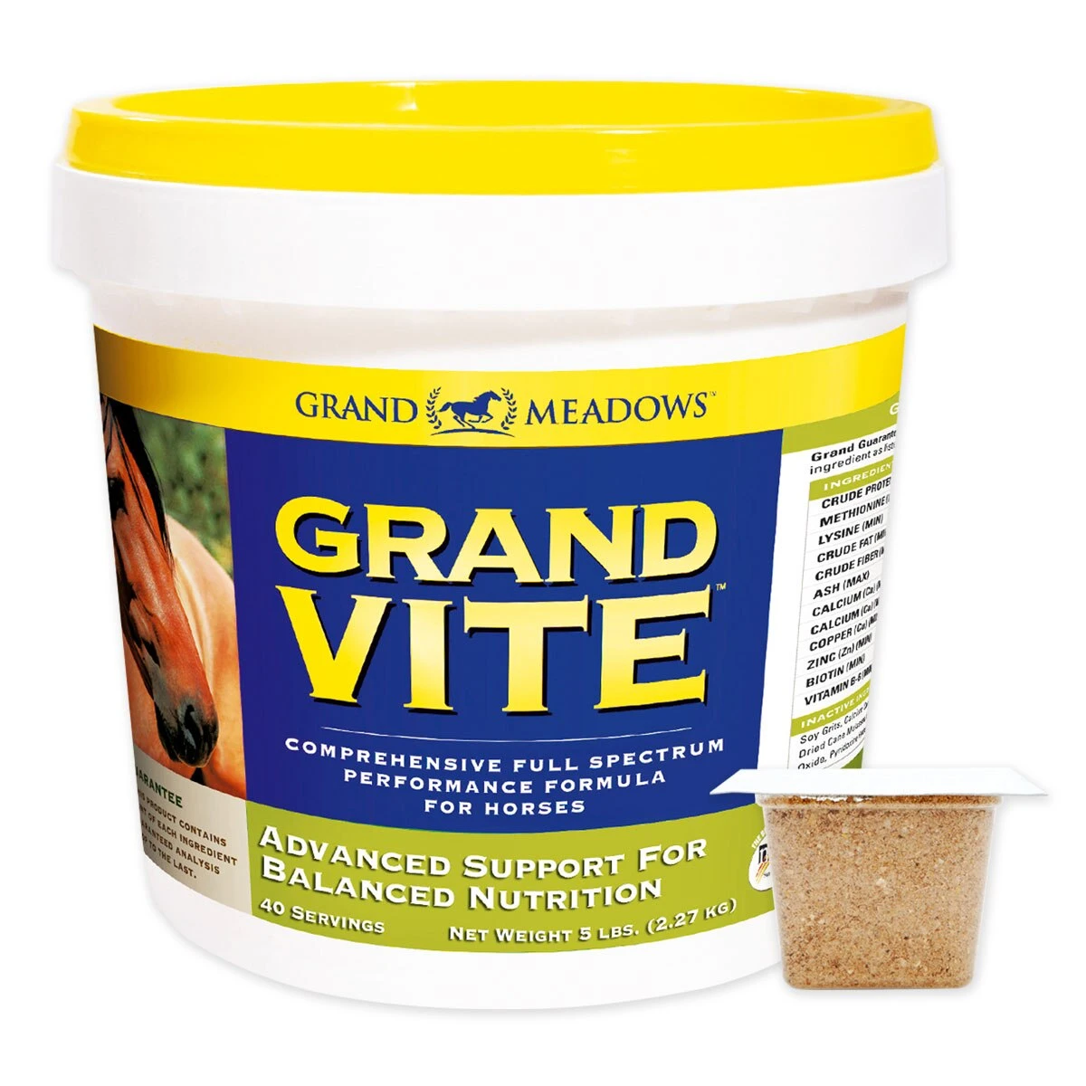 Grand Vite 1 Grand Vite