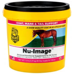Nu-Image -Ovatio Horse Shop 10115 bucket