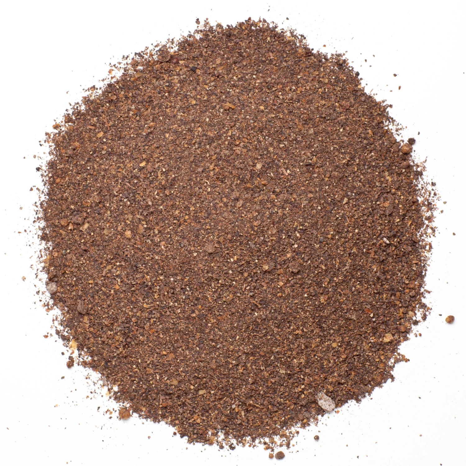 Bug Check 4 Bug Check - Image 4