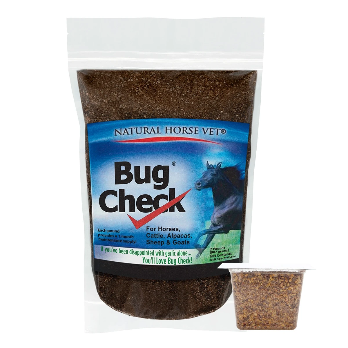 Bug Check 1 Bug Check