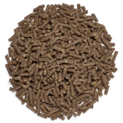 Quitt -Ovatio Horse Shop 11703 Pile scaled