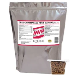Glucosamine XL Plus W/MSM