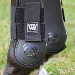 Woof Wear Pro Tendon Boots -Ovatio Horse Shop 16710
