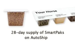 Smart & Simple® DMG -Ovatio Horse Shop 17177 smartpaks