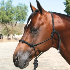 Professional's Choice Clinician Halter