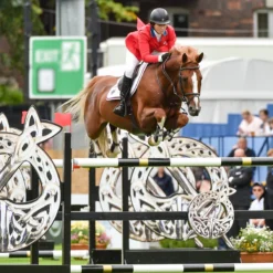 Charles Owen AYR8 Plus Leather Look Helmet -Ovatio Horse Shop 19716 lifestyle 1