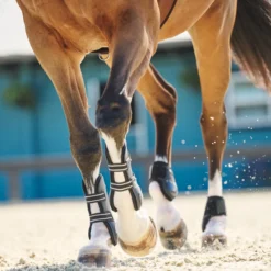 SmartPak Deluxe Ankle Boots -Ovatio Horse Shop 21a nfs 35013 35014 19504 26971 26302 blackwhiteeucalyptus print 3596