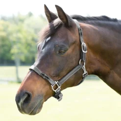 SmartPak Twisted Leather Halter -Ovatio Horse Shop 23077 1 black