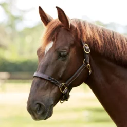 SmartPak Twisted Leather Halter