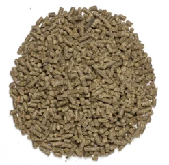 IN-SYNC 4&trade; -Ovatio Horse Shop 23801 Pile