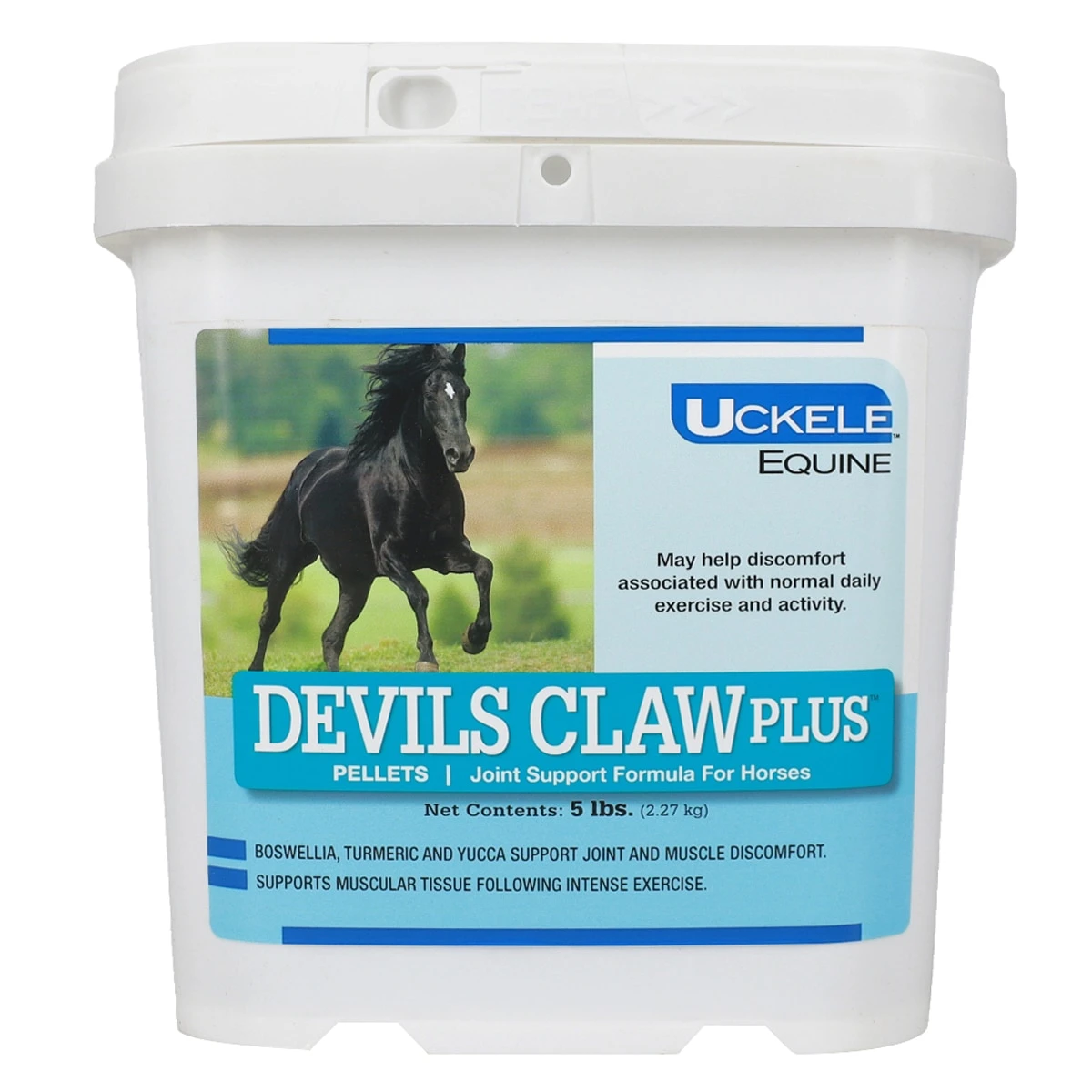 Devil's Claw Plus Pellets 5 Devil's Claw Plus Pellets - Image 5
