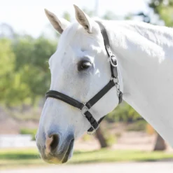 Plymouth&reg; Padded Halter By SmartPak -Ovatio Horse Shop 24204 blacksilver 1