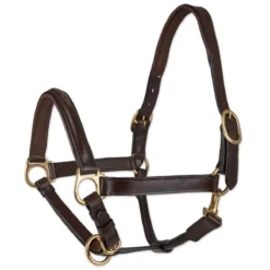 Plymouth&reg; Padded Halter By SmartPak -Ovatio Horse Shop 24204 chocolate