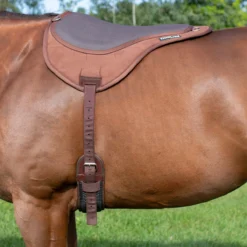 ThinLine Bareback Pad -Ovatio Horse Shop 24383 brown onhorse