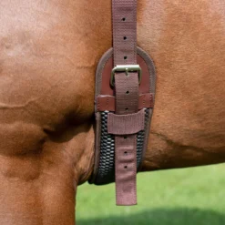 ThinLine Bareback Pad -Ovatio Horse Shop 24383 brown onhorse 3