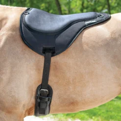 ThinLine Bareback Pad -Ovatio Horse Shop 24383 onhorse 9247