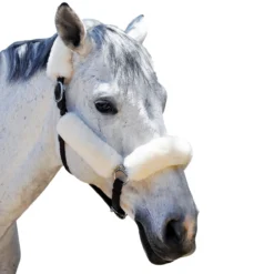 Equine Comfort Sheepskin Halter Fleece Set- 4 Piece -Ovatio Horse Shop 24717 cream
