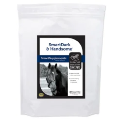 SmartDark & Handsome&reg; -Ovatio Horse Shop 25023 bag