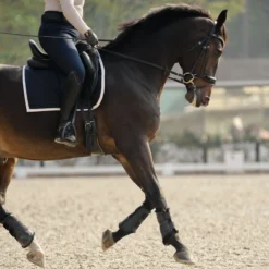 SmartPak Deluxe Fleece Lined Sport Boots -Ovatio Horse Shop 25903 mineralgrey 31904 navy ve riding 1004