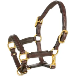 SmartPak Soft Padded Leather Pony/Mini Halter -Ovatio Horse Shop 26436 havana
