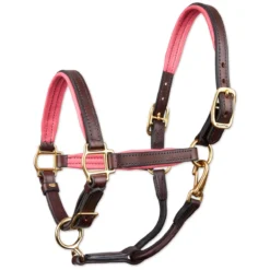 SmartPak Soft Padded Leather Pony/Mini Halter -Ovatio Horse Shop 26436 havanapink