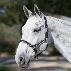 Horseware Ireland Rambo Micklem Diamante Halter