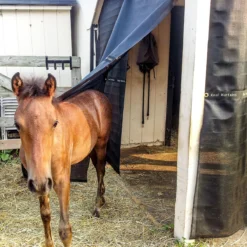 Kool Kurtains Panels 7 Kool Kurtains Panels -Ovatio Horse Shop 26929 foal