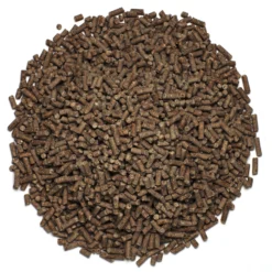 Lifeline+ Equine&reg; -Ovatio Horse Shop 27390 Pile scaled