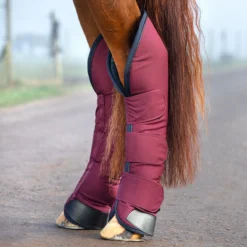 Rambo&reg; Travel Boots -Ovatio Horse Shop 27707 burgundy 2