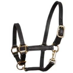 SmartPak Double Stitch Pony/Mini Halter -Ovatio Horse Shop 28624 black
