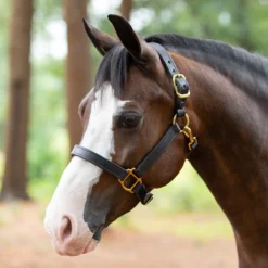 SmartPak Double Stitch Pony/Mini Halter