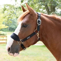 SmartPak Breakaway Halter With COOLMAX&reg; Padding 2.0 -Ovatio Horse Shop 28829 black pony onhorse