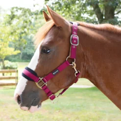 SmartPak Breakaway Halter With COOLMAX&reg; Padding 2.0 - Clearance! -Ovatio Horse Shop 28829 burgundy pony onhorse 2 1