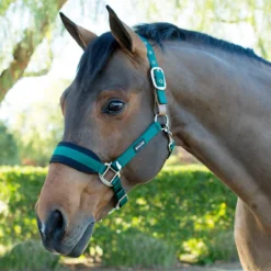 SmartPak Breakaway Halter With COOLMAX&reg; Padding 2.0 -Ovatio Horse Shop 28829 hunter