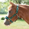 SmartPak Breakaway Halter With COOLMAX&reg; Padding 2.0 - Clearance!