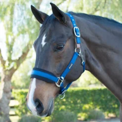 SmartPak Breakaway Halter With COOLMAX&reg; Padding 2.0 - Clearance! -Ovatio Horse Shop 28829 navy 1