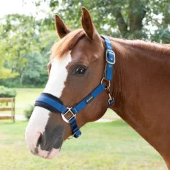 SmartPak Breakaway Halter With COOLMAX&reg; Padding 2.0 - Clearance! -Ovatio Horse Shop 28829 navy pony onhorse 1