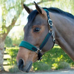 SmartPak Fleece Padded Breakaway Halter -Ovatio Horse Shop 28967 blackhunter 320copy
