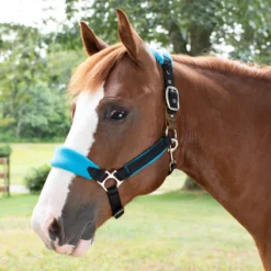 SmartPak Fleece Padded Breakaway Halter -Ovatio Horse Shop 28967 turquoise pony onhorse