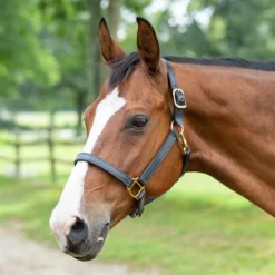 SmartPak Leather Halter