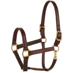 SmartPak Leather Halter -Ovatio Horse Shop 28972 havana