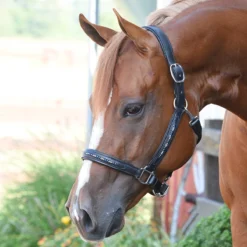 Perri's Leather Pearl Beaded Halter