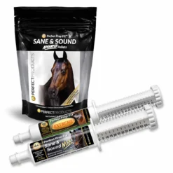 Perfect Prep EQ&trade; Performance Day Focus Bundle
