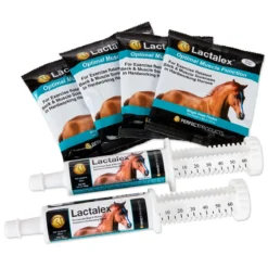 Perfect Prep EQ™ Muscle Performance Bundle