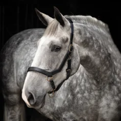 Rambo&reg; Micklem&reg; Halter