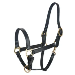 Plymouth&reg; Leather Halter By SmartPak -Ovatio Horse Shop 30763 black