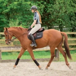 Kerrits Crossover II Full Seat Breech -Ovatio Horse Shop 31339 sand l1