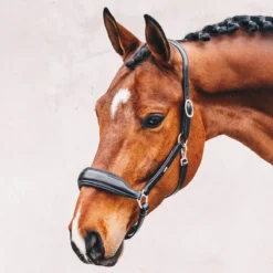 Schockemoehle Fremont Anatomic Halter