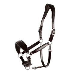 Schockemoehle Fremont Anatomic Halter -Ovatio Horse Shop 32239 espresso