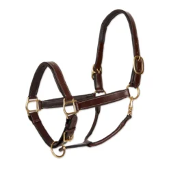 Black Oak Willow Halter -Ovatio Horse Shop 32259 brown